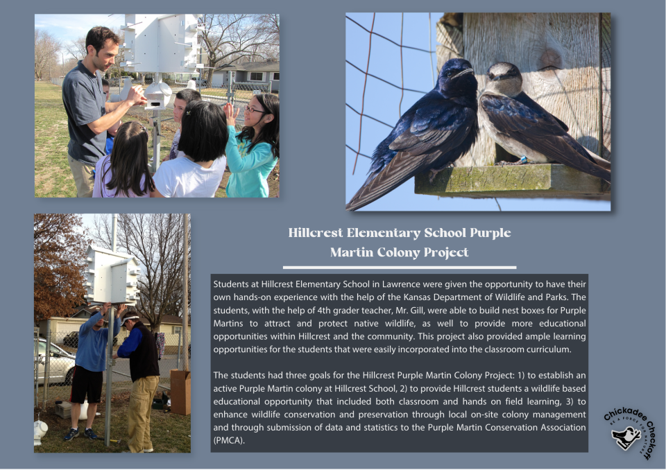 Purple Martin Nest Boxes