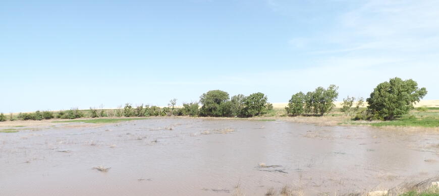 Concannon Wildlife Area