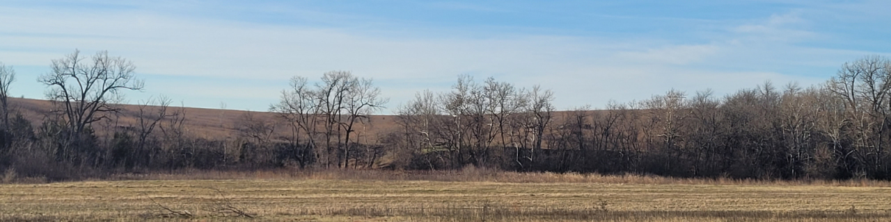A quiet field of short grass lies in the foreground, with a line of leafless trees marking the edge of a wooded area. Beyond, low hills rise gently under a pale blue sky.