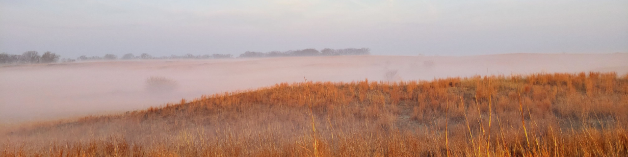 Rolling prairie hills glow with warm golden tones as low fog drifts across the land. The mist softens the distant tree line, creating a calm and atmospheric scene.