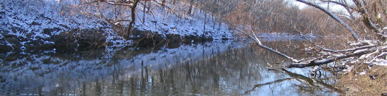 A calm stream flows through a wooded area, with snow covering the banks and tree branches. The water reflects the surrounding trees, creating a peaceful winter scene.