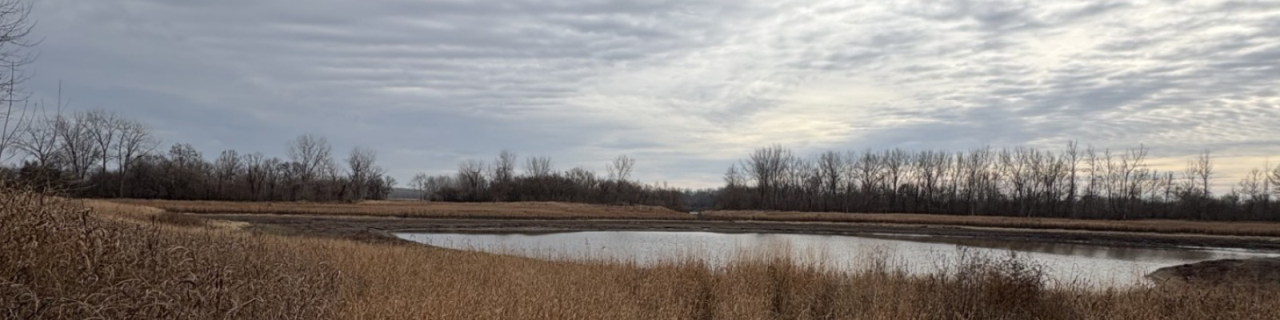A small pond sits surrounded by dry grasses and leafless trees. The still water reflects the cloudy sky, creating a quiet and open landscape.
