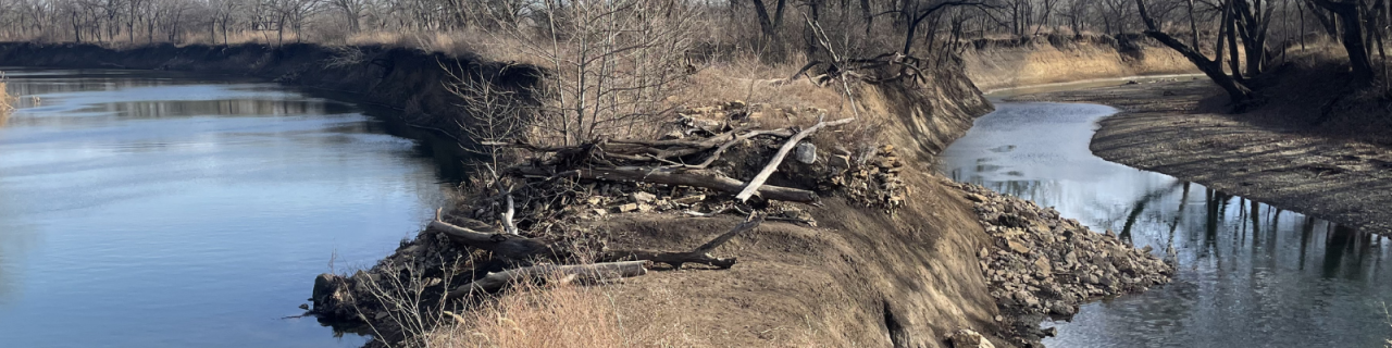 A winding river curves through a wooded area, with exposed banks and fallen logs along the shoreline. The scene shows natural erosion and a mix of water and woodland habitat.