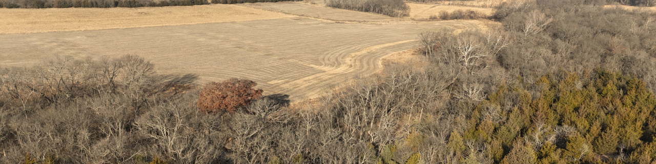 Aerial view of a harvested agricultural field with curved planting lines, bordered by dense clusters of leafless trees and patches of evergreen vegetation, showing the transition between farmland and natural habitat