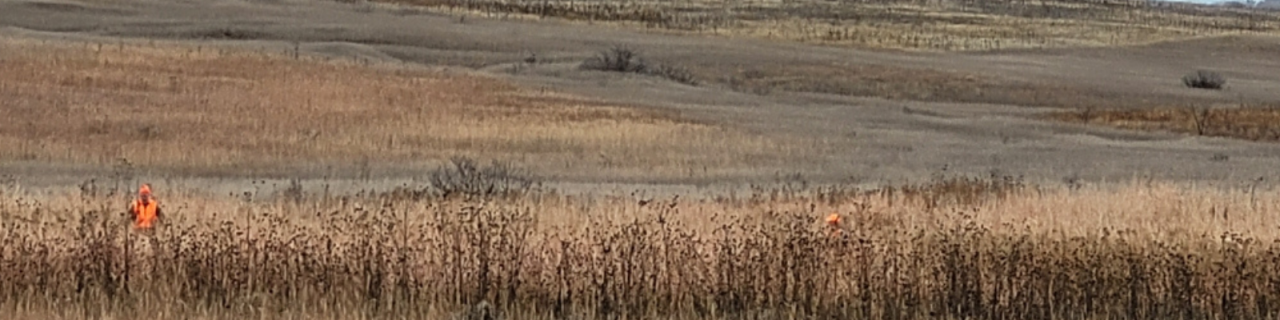 Two individuals wearing bright orange safety clothing stand apart in a field of tall, dried plants, with open rolling terrain extending into the background.