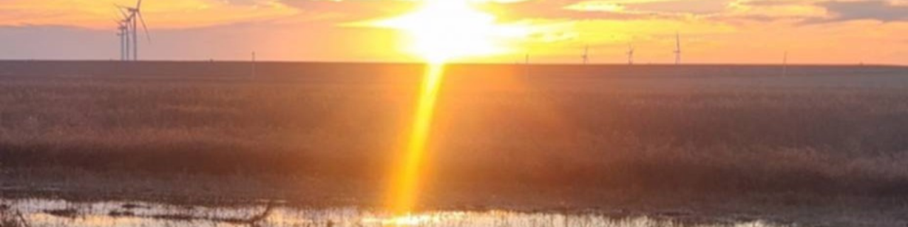 A bright sunset reflects across shallow water, casting golden light. Wind turbines are visible along the distant horizon.