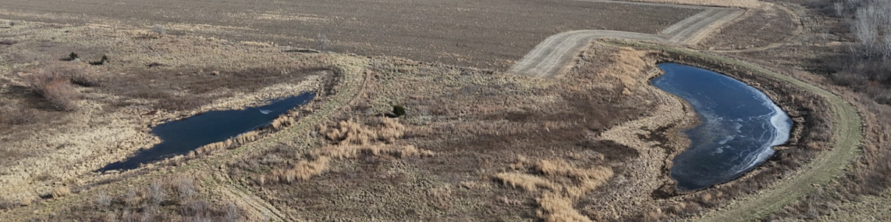 Aerial view of two curved ponds connected by a dirt road, surrounded by dry grasses and patchy vegetation in a rural landscape.