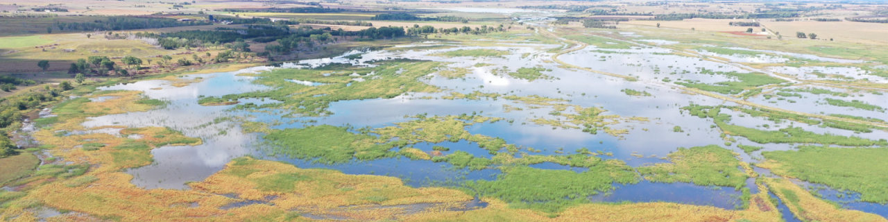 An aerial view shows a large wetland with patches of water and green vegetation. Channels and shallow pools create a mosaic across the landscape.
