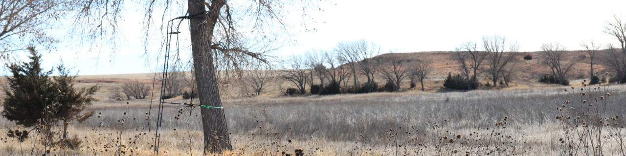 A tree with a mounted Hunting ladder stand stands in an open field of grass and scattered plants. Rolling hills and trees line the distance.