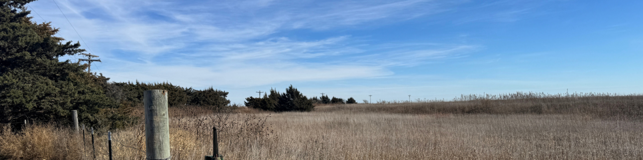 Dry grassland with scattered shrubs and fence posts extends toward a line of trees. The sky is bright with light clouds.