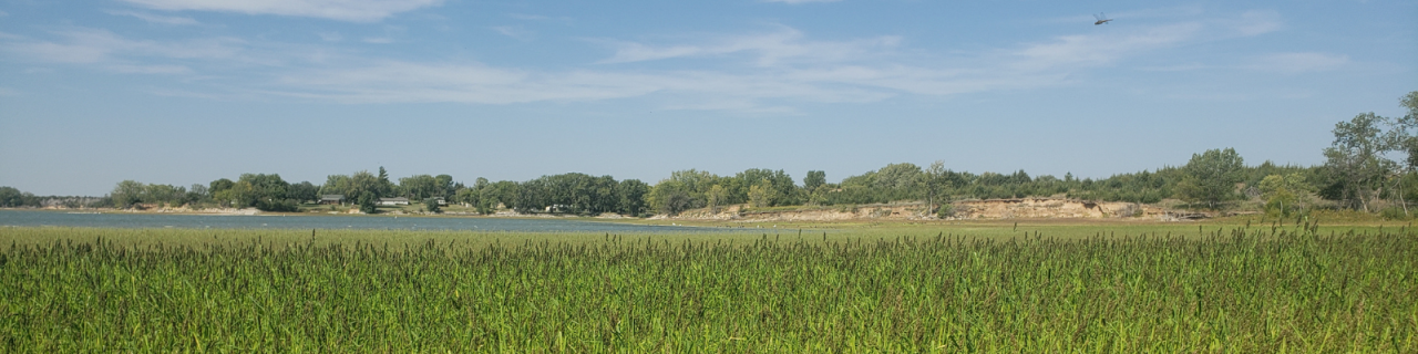 A large lake bordered by tall green vegetation and distant trees sits under a wide blue sky.