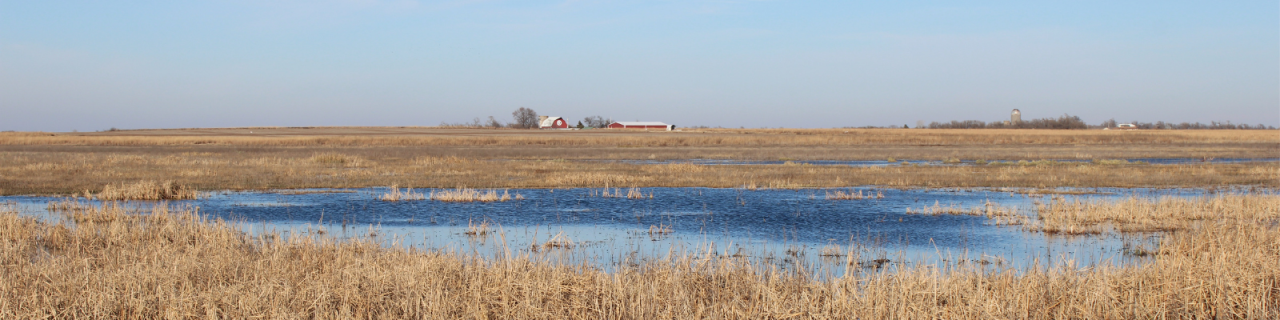 Shallow water spreads across a flat wetland with patches of grass. Farm buildings and silos sit in the distance.