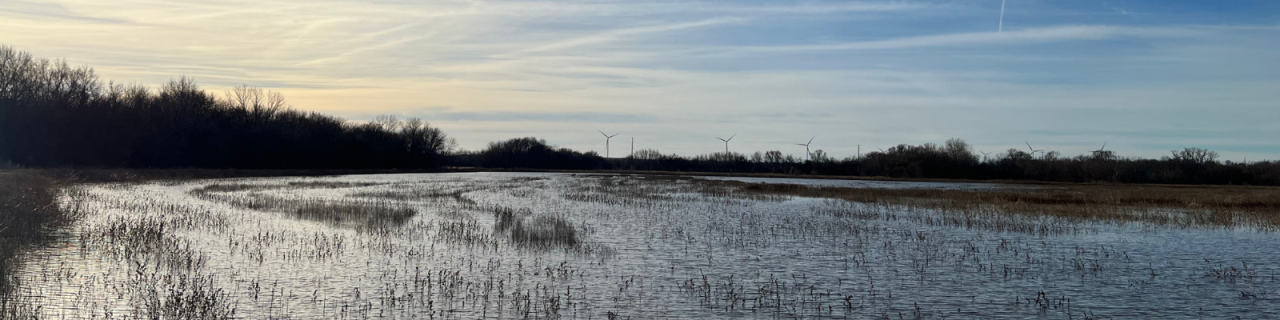 A wide wetland reflects the sky, with scattered vegetation and wind turbines visible along the horizon.