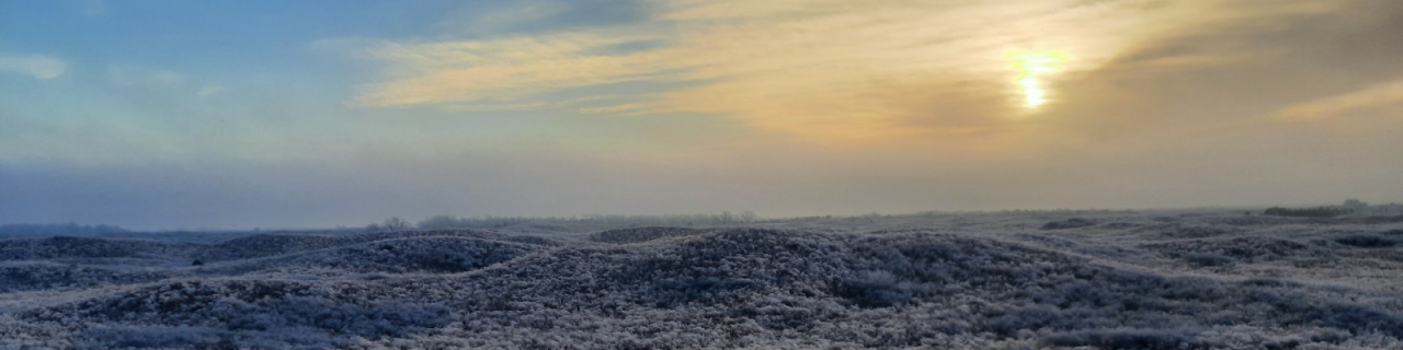Rolling sandhills covered in frost stretch beneath a pale winter sun.