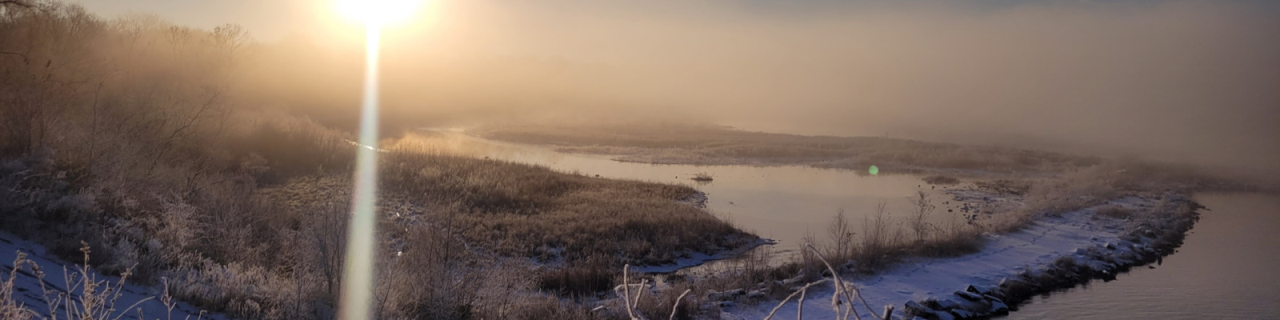 A small pond sits surrounded by leafless trees and dry grasses under a clear sky.