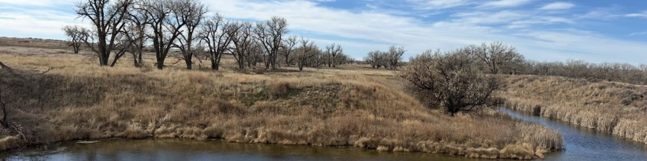 A winding creek cuts through dry grassland with scattered trees and gently rolling terrain.