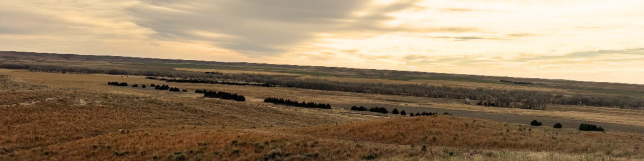 Golden grasses cover wide rolling hills beneath a soft, cloud-filled sky stretching across the horizon.
