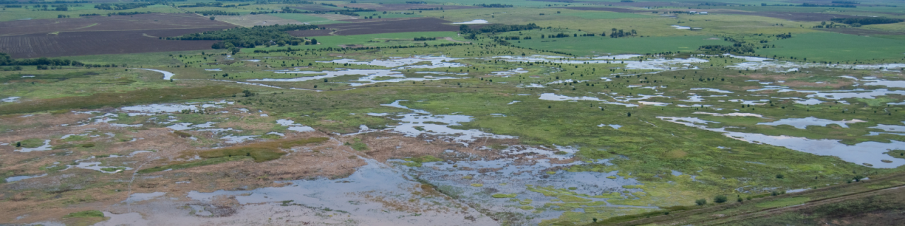 An aerial view shows a large patchwork of wetlands, shallow water, and grassy areas surrounded by agricultural fields.