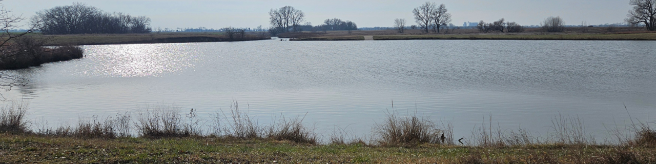Sunlight reflects off a quiet lake bordered by grassy banks and scattered trees in the distance.