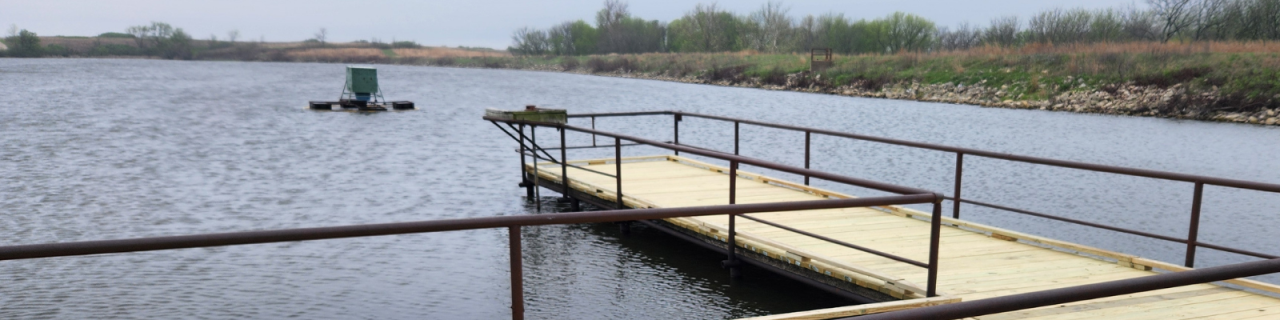 A floating dock with metal railings extends into a breezy lake with a fish attracter further into the lake and with grassy shoreline in the background.