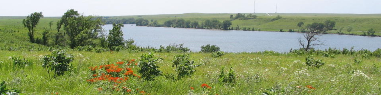 A scenic lake sits among green hills and trees with patches of wildflowers in the foreground.