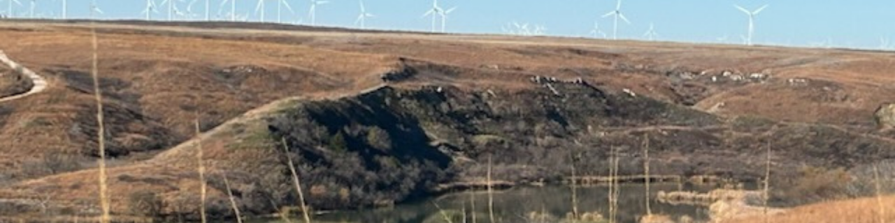 A lake is surrounded by open grassland and rolling rocky hills with white windmill turbines. 