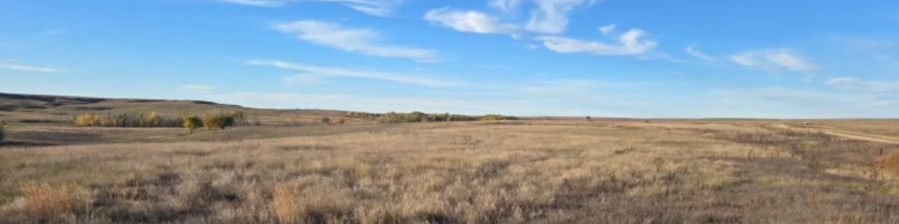 Open prairie stretches across gently rolling land under a bright blue sky with scattered clouds.