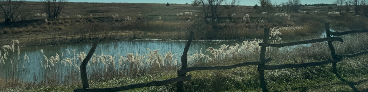 A rustic wooden fence runs along the edge of a small pond bordered by tall grasses, with rolling prairie hills and scattered trees in the background under soft light.
