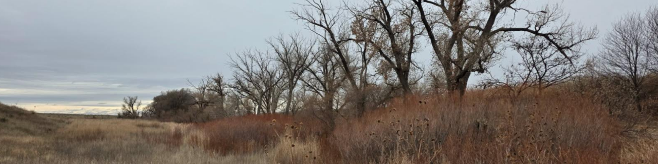 A prairie landscape with leafless trees and tall brown grasses stretches under a cloudy sky, suggesting late fall or early winter conditions.