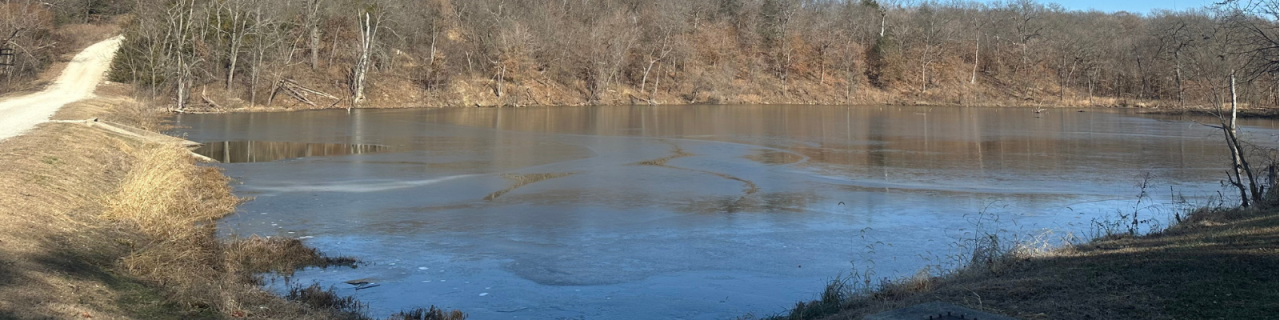 A partially frozen lake reflects surrounding trees, with a dirt road curving along the shoreline.