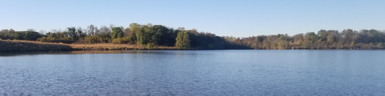 A peaceful lake stretches across the frame, bordered by trees and gentle shoreline under a clear sky.