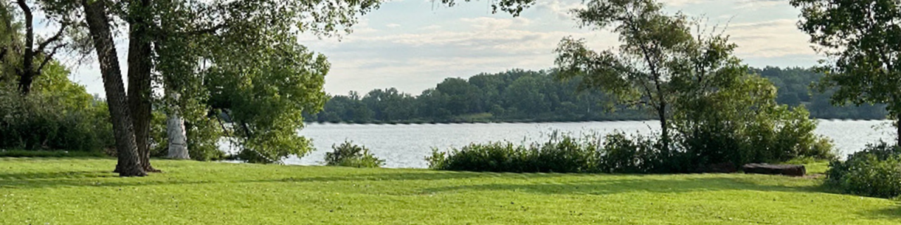 A shaded grassy area with mature trees overlooks a bright lake bordered by dense green vegetation.