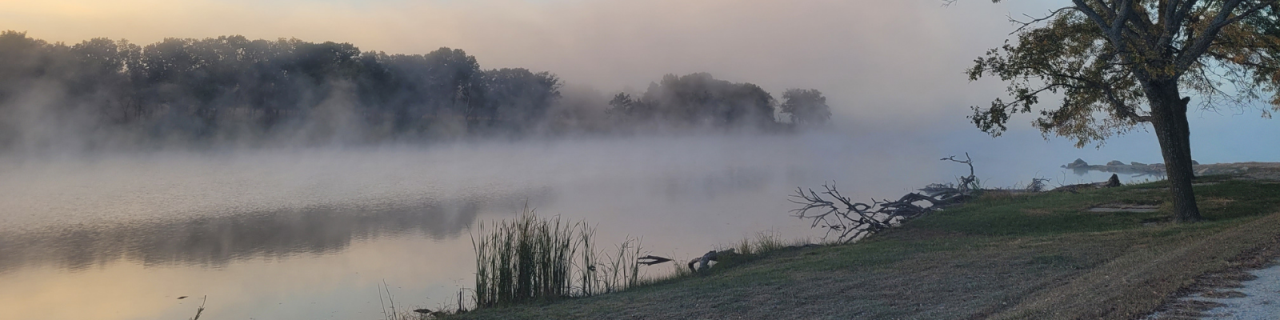 Morning fog drifts across a quiet lake, softening the view of trees and shoreline in the background.
