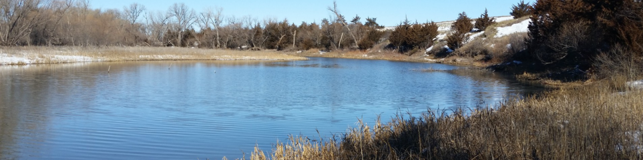 A small lake is bordered by winter grasses and patches of snow, with trees lining the shoreline under a clear blue sky.