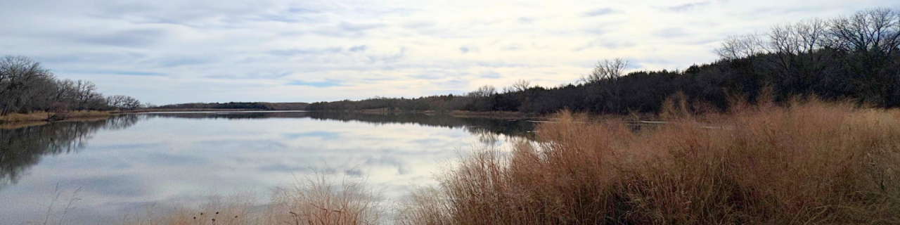 A calm lake reflects a cloudy sky, with tall grasses and tree-lined shores creating a peaceful, natural setting.
