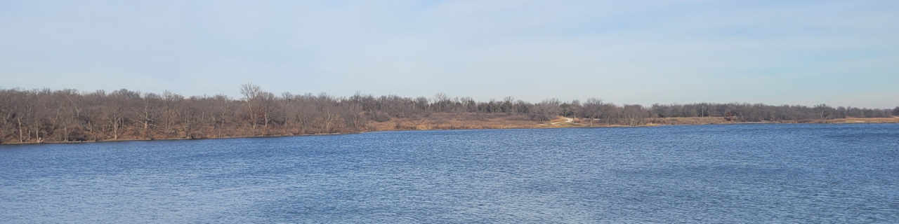 A wide, open lake stretches toward a distant tree line, with gentle ripples across the water under a clear sky.