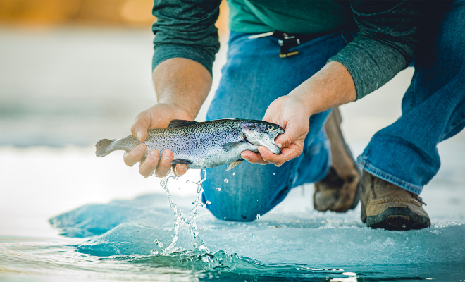 Person kneeling on ice holds a fish above water, with droplets falling.