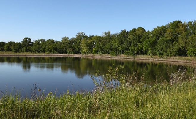 A wide, calm lake reflects a line of green trees under a clear blue sky. Tall grass grows along the near bank.