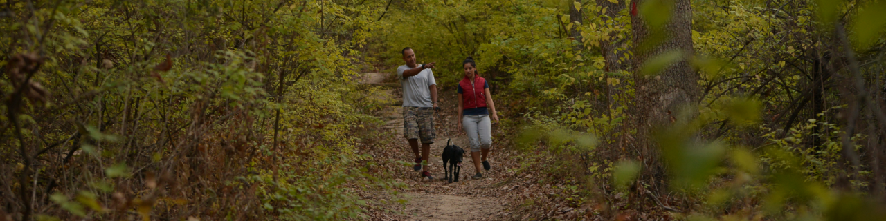 Two people and a dog walk along a leaf-covered path through a forest in autumn.