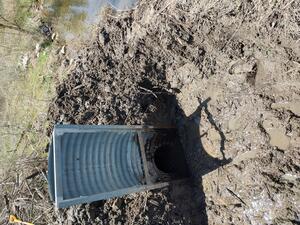 How beavers can impact our wet soil management by damming up our structures